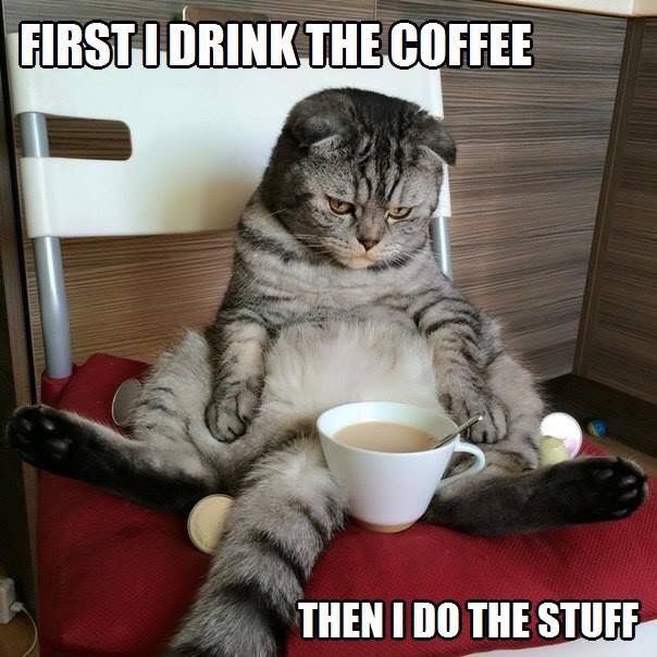 first i drink the coffee then i do the stuff